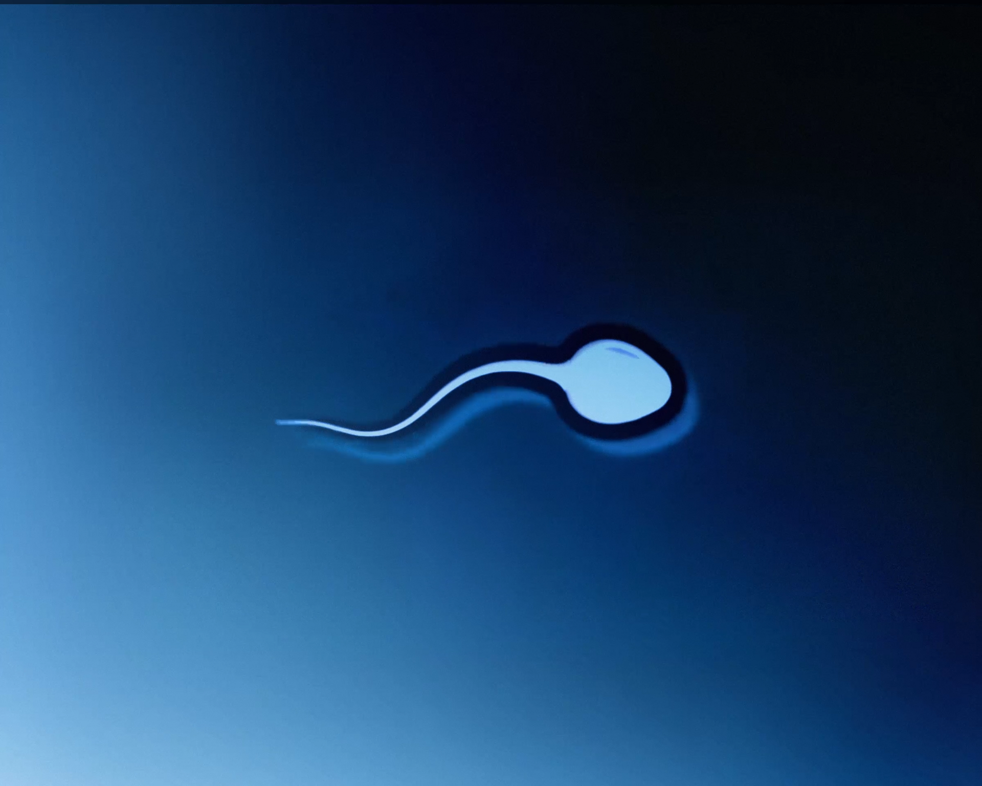 good morph of sperm under microscope