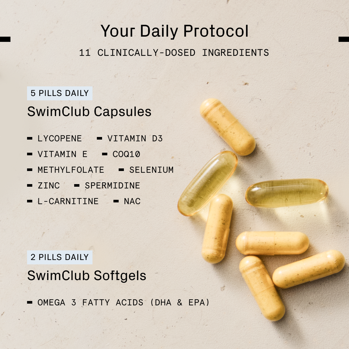 Male Fertility Supplement