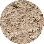 Spermidine