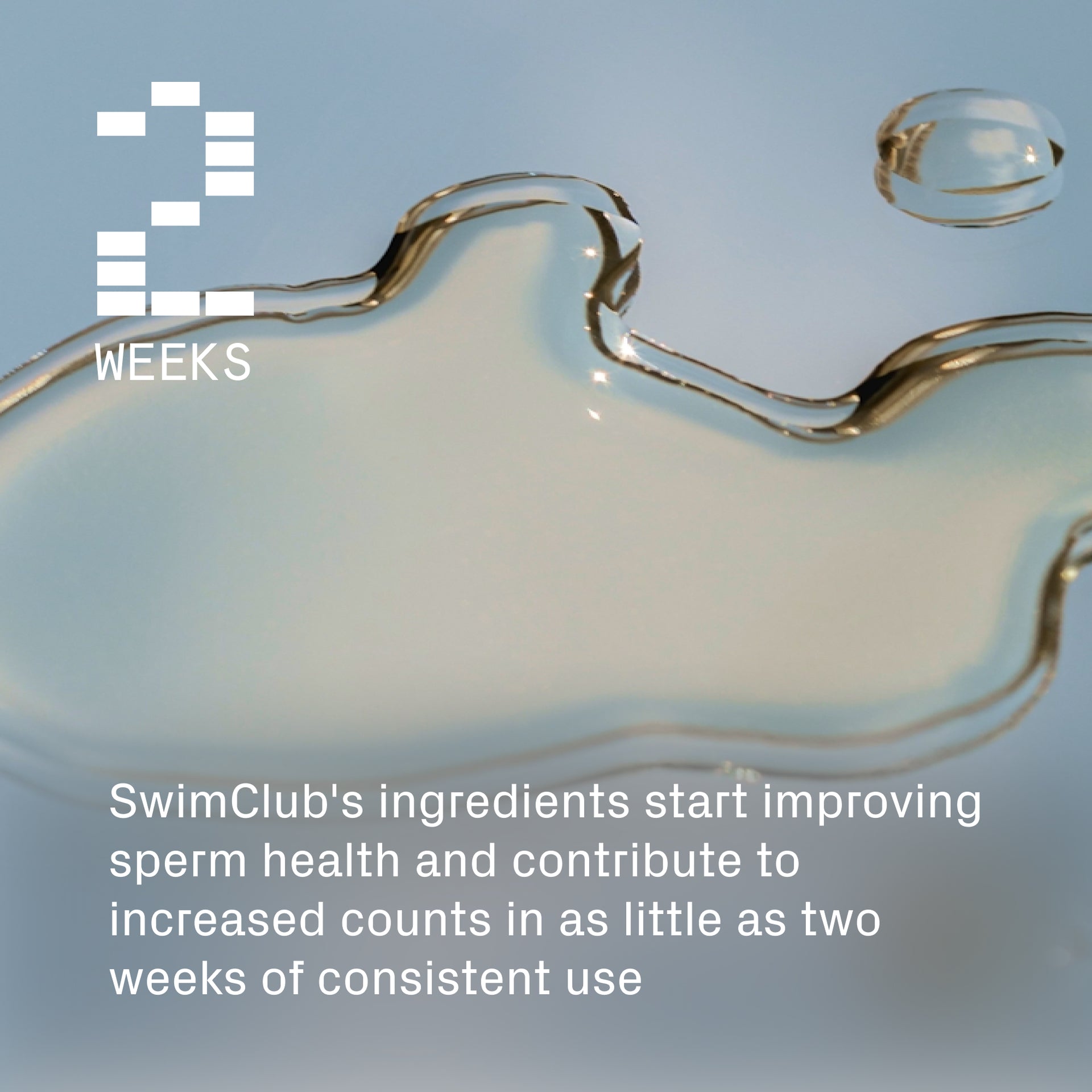 Male Fertility Supplement