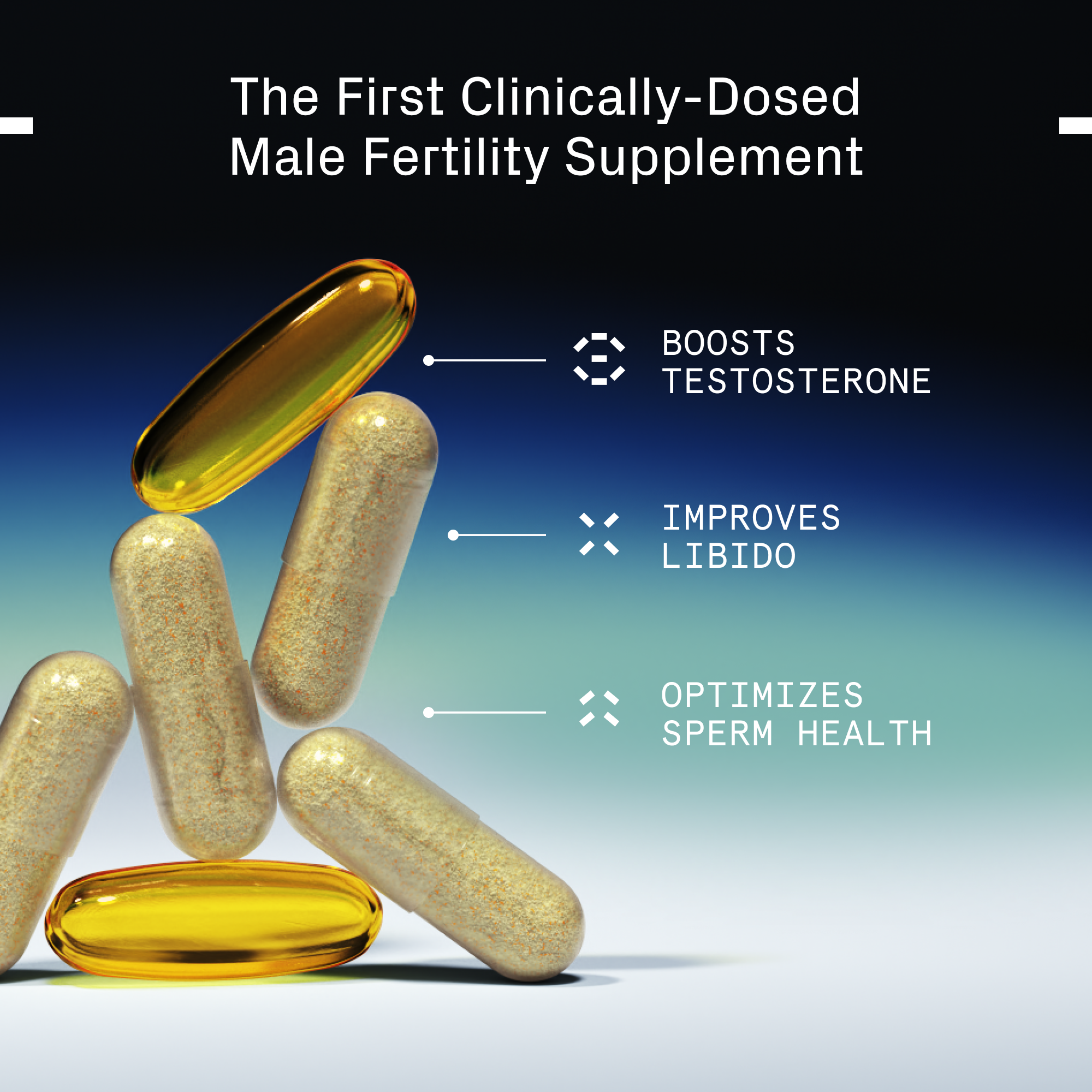 Male Fertility Supplement