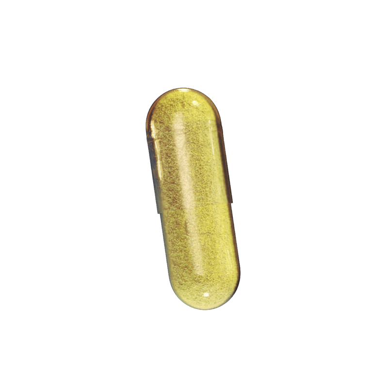 Powder pill capsule
